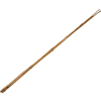 3 Tutori din bambus, 120 cm, 10-12 mm