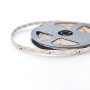 Banda LED Flink, flexibila, 24V, 12 W/ml, 3-4 lm, multicolor, 5 m