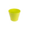 Ghiveci Zinnia, 90 mm, lime