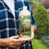 Ingrasamant lichid BIO pentru conifere MG, 1 L