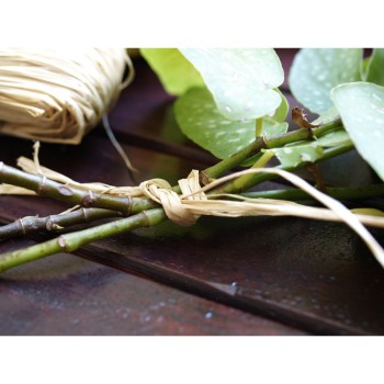 Rafie Raphia natur, 100% natural, 50 g