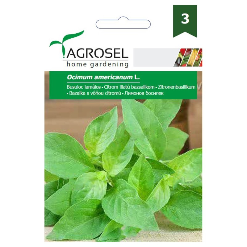 Seminte Busuioc Lamaios Agrosel, 1g