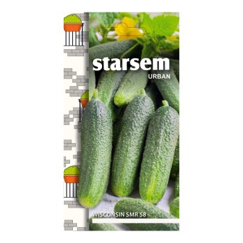 Seminte de castraveti, Agrosel Wisconsin SMR 58