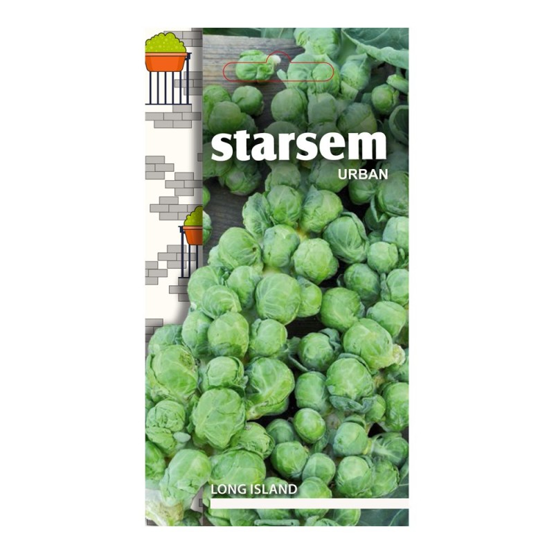 Seminte de varza de bruxelles, Starsem Long Island